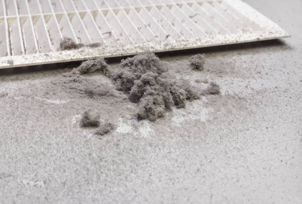 Best Local Air Duct Cleaning Services  in Sebastian, FL