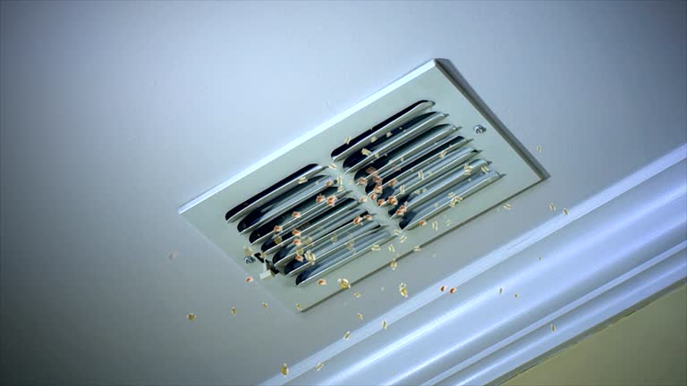 Best Air Vent Cleaning Services  in Sebastian, FL