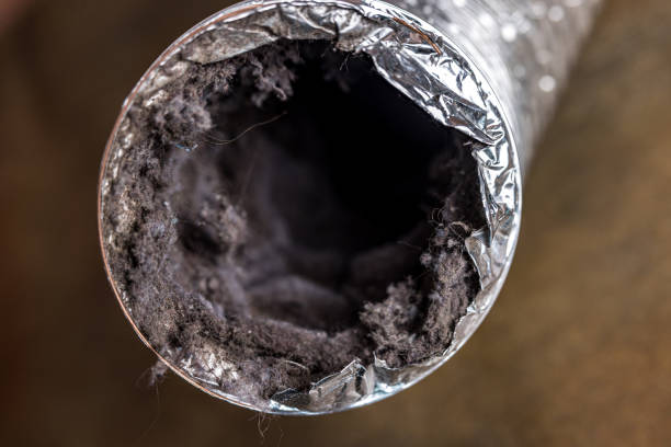 Best Ductwork Cleaning Services  in Sebastian, FL